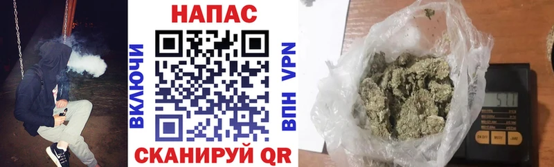 Каннабис планчик  купить наркотики сайты  Евпатория 